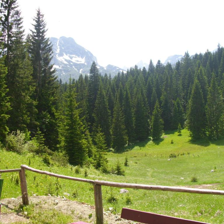 Apartment Vujisic - Two-Bedroom Apartment - 15