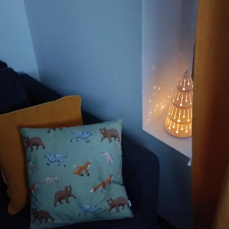 Apartman Paunovi Čardaci sa garažnim mestom - Apartman sa 1 Spavaćom Sobom - 15