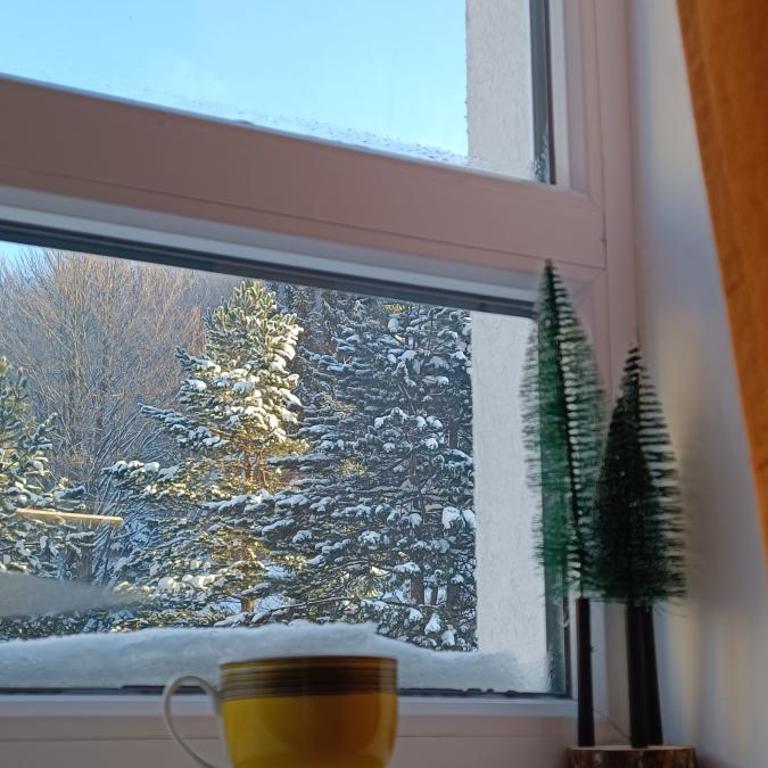 Apartman Paunovi Čardaci sa garažnim mestom - Apartman sa 1 Spavaćom Sobom - 17