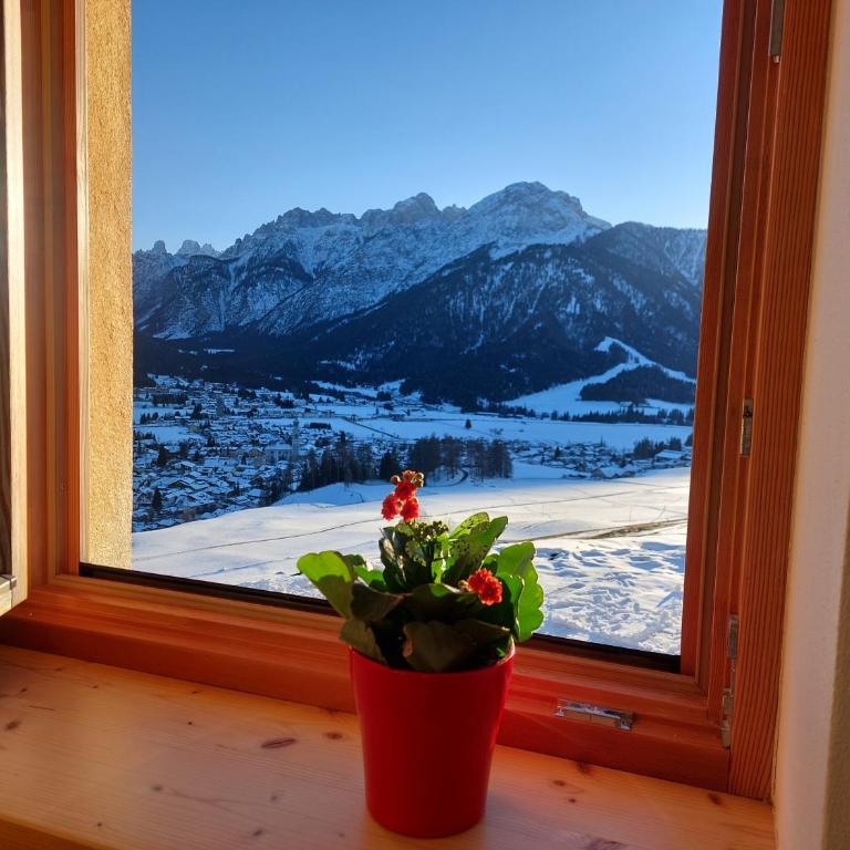 Gostnerhof - Appartamento con Vista Montagna - 1