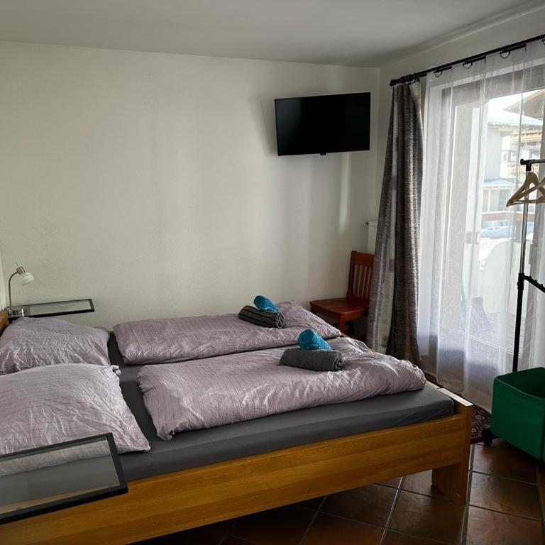 Tuxie Haus - Studio with Balcony - 2
