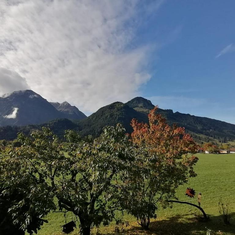 Alpenstyle Ferienwohnung mit Südbalkon in Geisteier's Hüs - Apartment mit 1 Schlafzimmer - 17