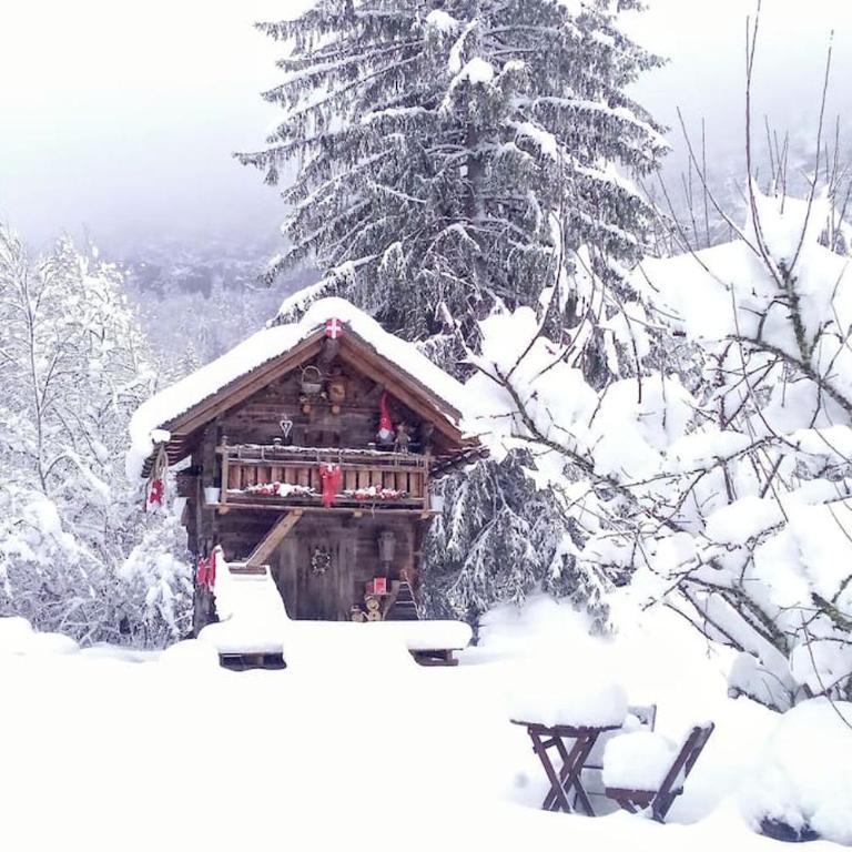 Amour & Chocolat - Chalet 1 Chambre - 71