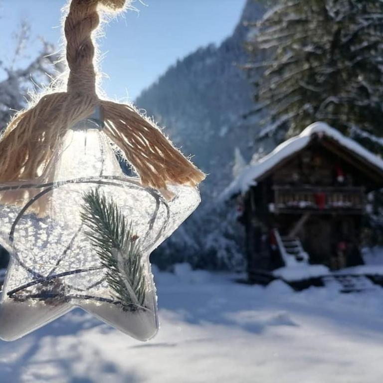 Amour & Chocolat - Chalet 1 Chambre - 66