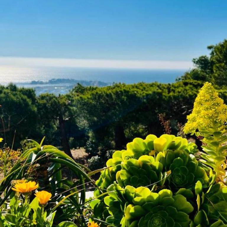 Vue mer panoramique et piscine - Estudio con vistas al mar - 6