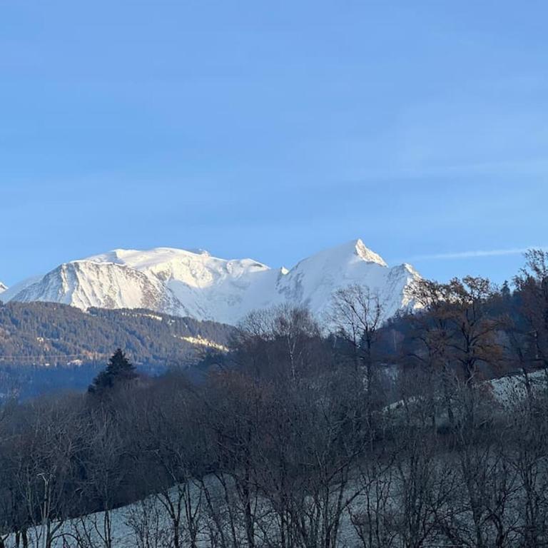 Duplex 3 chambres Vue Mont-Blanc - Appartement 3 Chambres - 26