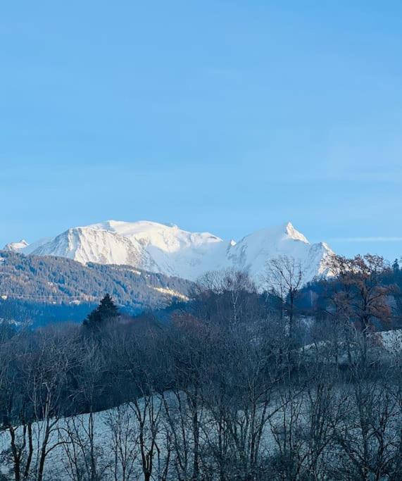 Duplex 3 chambres Vue Mont-Blanc - Appartement 3 Chambres - 28
