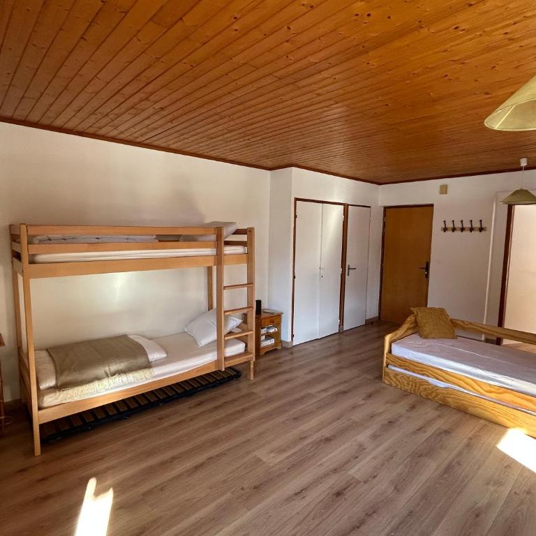Appartement EDELWEISS - Appartement 1 Chambre - 5