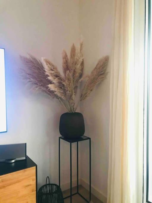 HIBISCUS PENTHOUSE - Appartement 3 Chambres - 25