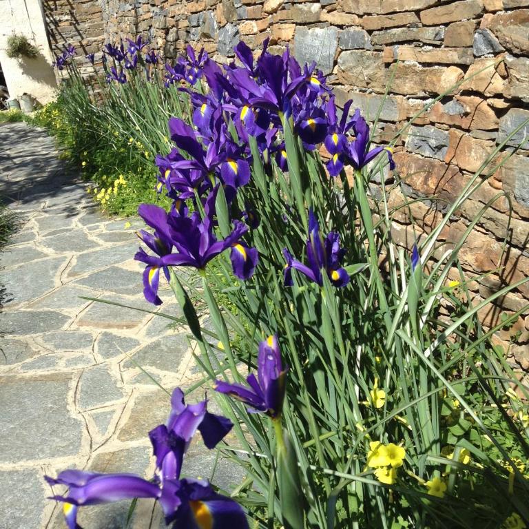 Casa Ninin - Two-Bedroom Apartment with Terrace, Garden and Sea View - 37