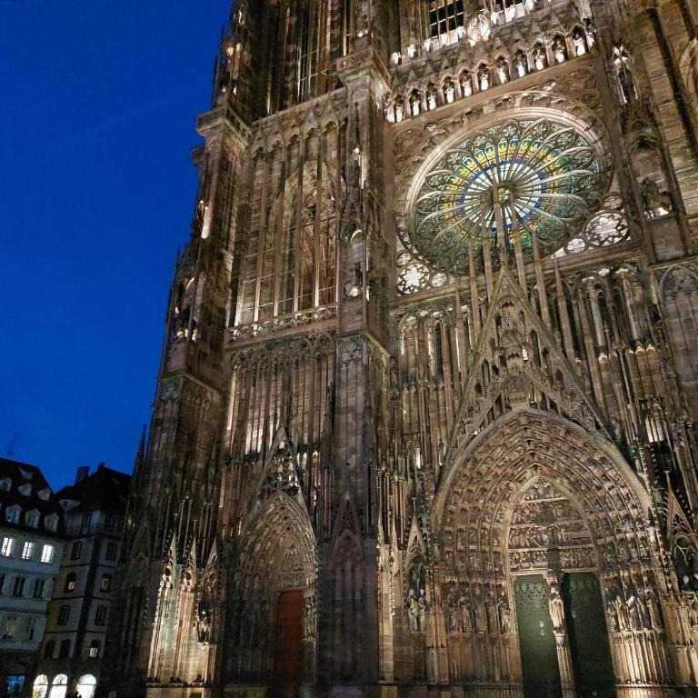 Les appartements Place de la Cathédrale - One-Bedroom Apartment (4 Adults) - 24