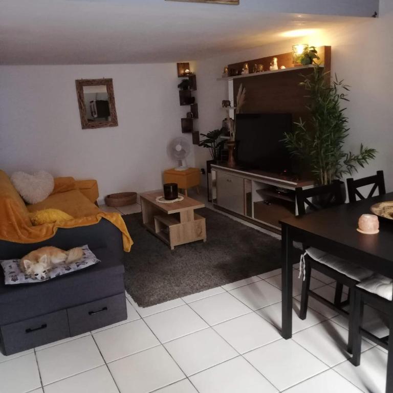 Le Cocon - Appartement 1 Chambre - 3