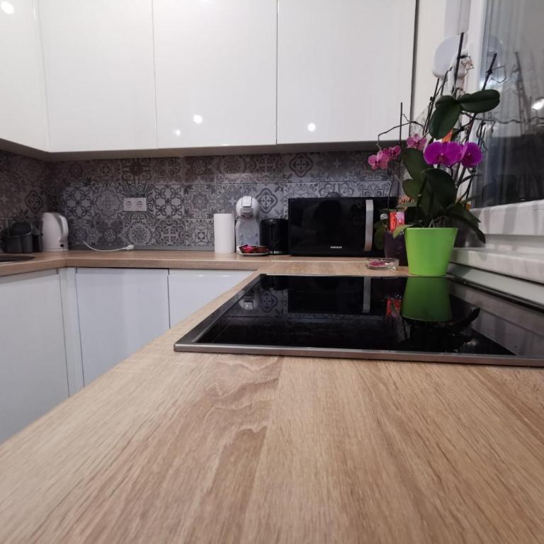 Apartman Vera - Apartman sa 1 Spavaćom Sobom - 10