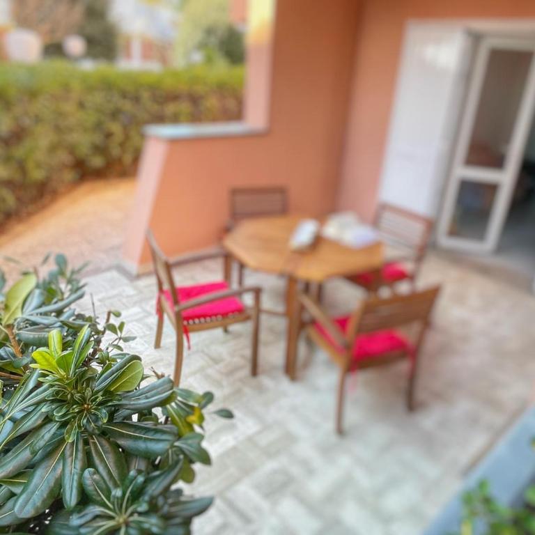 Summer House - Appartamento fronte mare - Casa Vacanze - 14