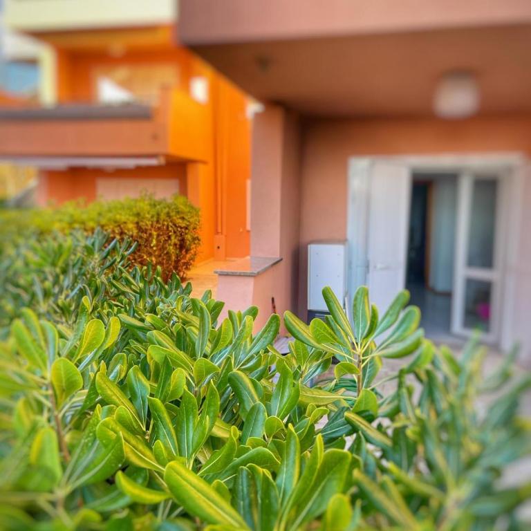 Summer House - Appartamento fronte mare - Casa Vacanze - 10