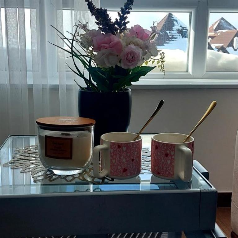 Apartman Mery in Kraljevi Čardaci - One-Bedroom Apartment - 42