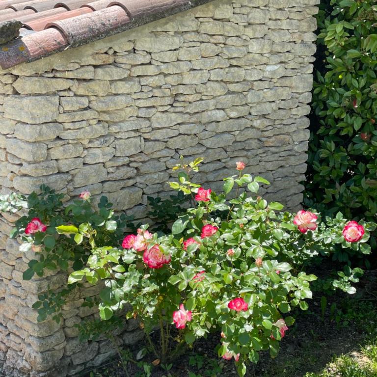 La Luberonne gordes - Villa 3 Chambres - 20