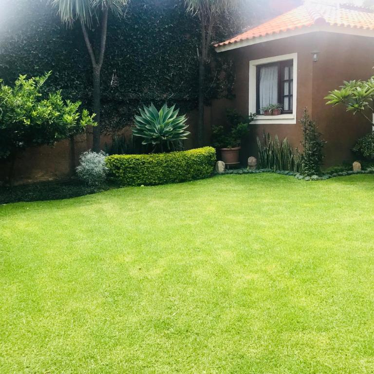 Apartamento con jardin - Apartamento con vistas al jardín - 6