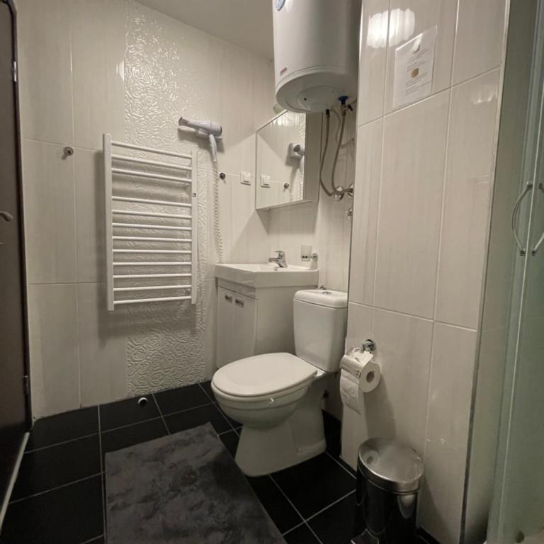 Djuric Apartman, Kraljevi Cardaci - Apartman sa 1 Spavaćom Sobom - 9
