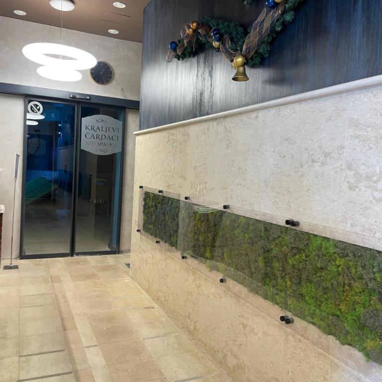 Djuric Apartman, Kraljevi Cardaci - Apartman sa 1 Spavaćom Sobom - 16