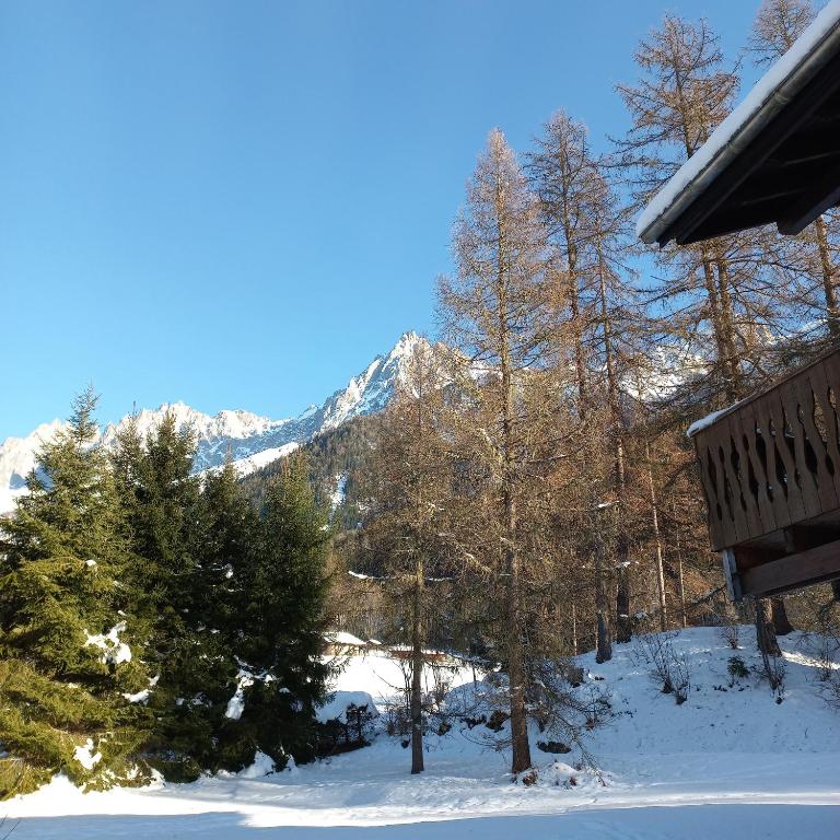 Chalet Les Charmilles - Vallée de Chamonix - 5 chambres - Chalet - 1
