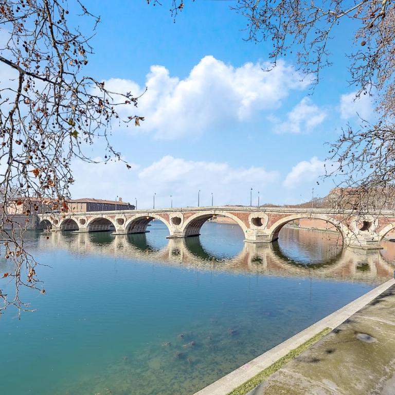 L'île aux Tounis - T3 Moderne centre de Toulouse - Apartamento de 2 dormitorios - 11
