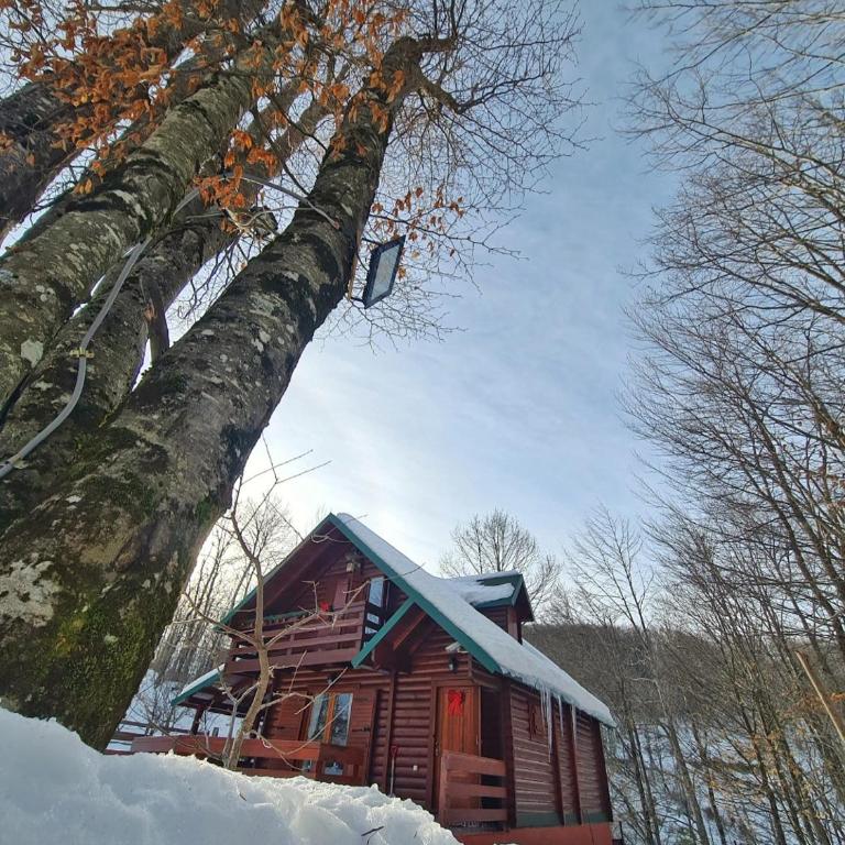 Vikendica Crkvina - Kuća sa 3 Spavaće Sobe - 41