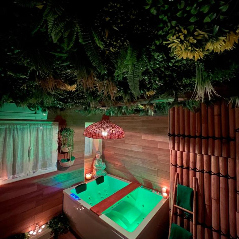 Le balneo jacuzzi Vieil Antibes Safranier - Apartment mit 1 Schlafzimmer - 2