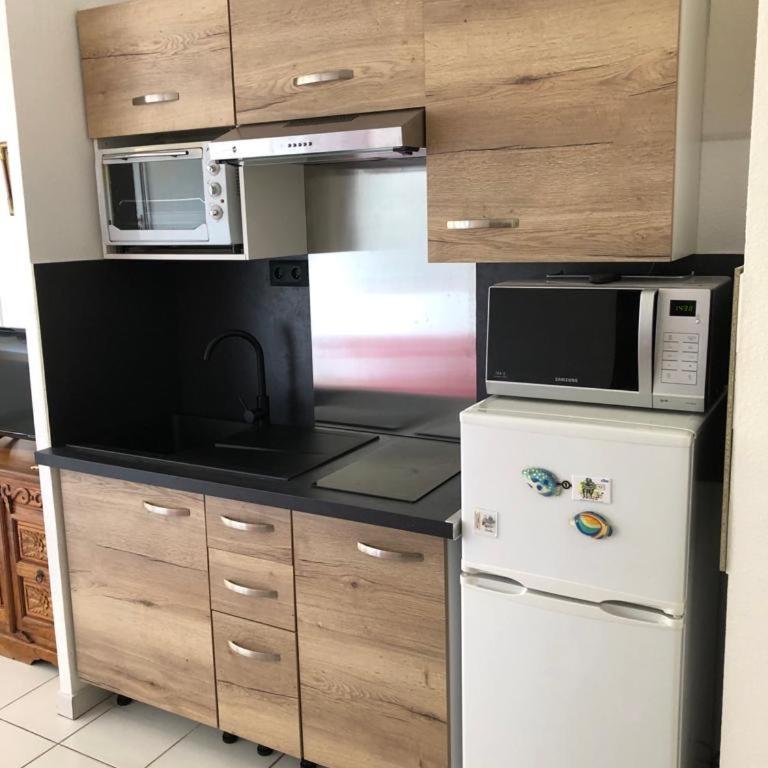 hippocampe f2 - Appartement 1 Chambre - 11