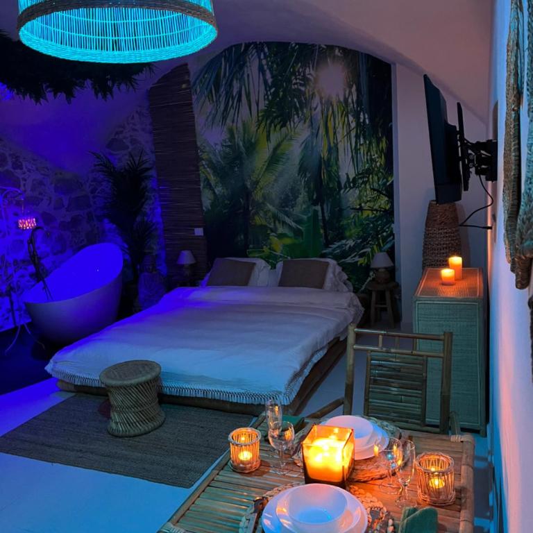 Le Bali Safranier Vieil Antibes - Appartement 1 Chambre - 14