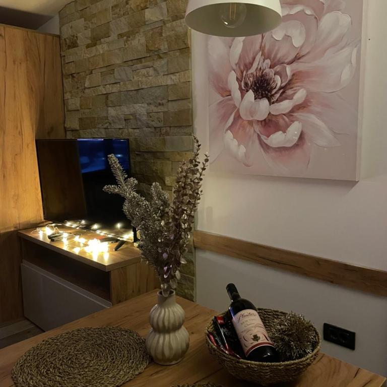 Apartmani NLUX and SPA - Studio with Mountain View - 7