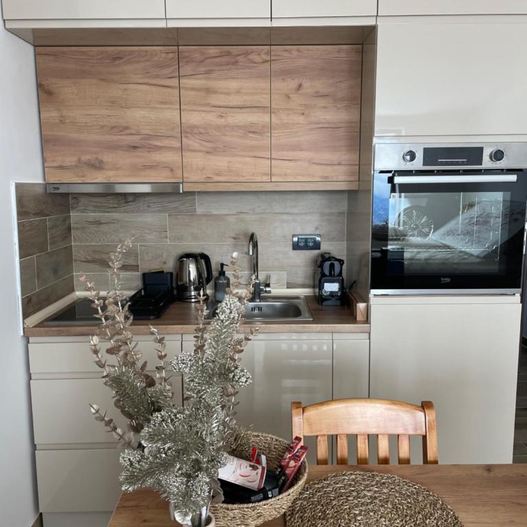 Apartmani NLUX and SPA - Studio with Mountain View - 9