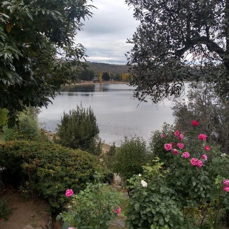 Dos Pajaros - Apartamento con vistas al lago - 7
