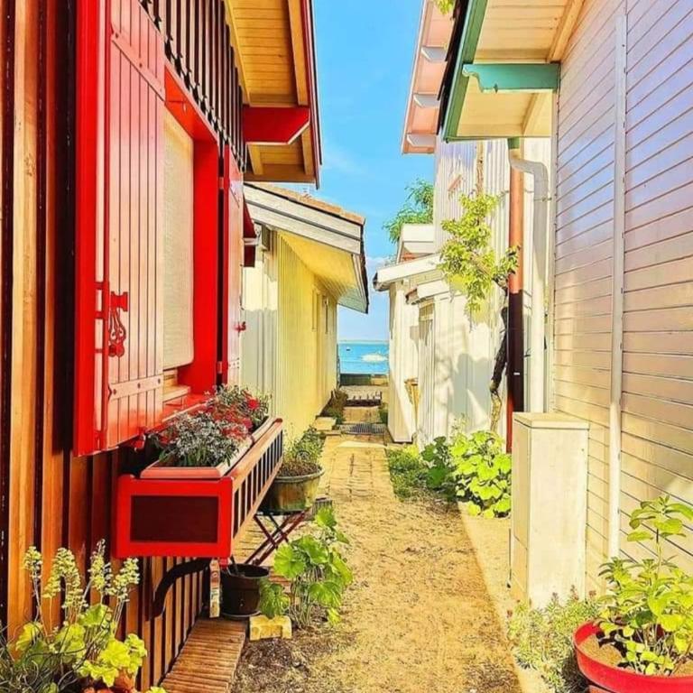 Casa Jane - Maison de Vacances - 25