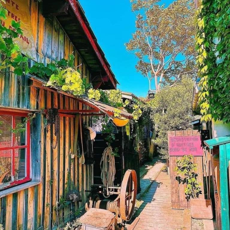 Casa Jane - Maison de Vacances - 20