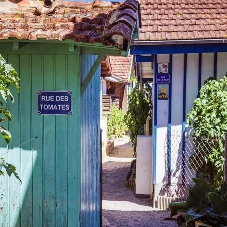 Casa Jane - Maison de Vacances - 19