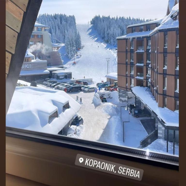 Angella Kopaonik - Apartman sa 1 Spavaćom Sobom - 1