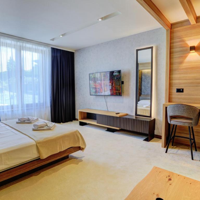 Tramontana Kopaonik Woodside 201&211, FREE Parking & SPA - Deluks Studio - 5