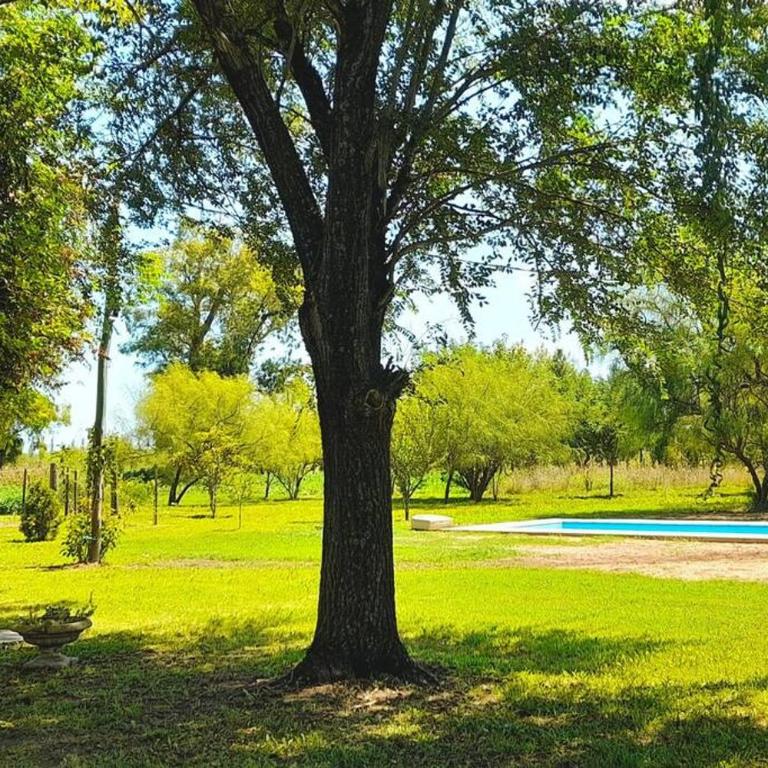 Casa de campo en Zapiola , Lobos, Buenos Aires. - Vacation Home - 5