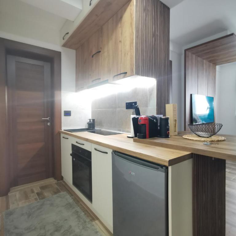 Apartman 16 Pancic - Apartman sa 1 Spavaćom Sobom - 9