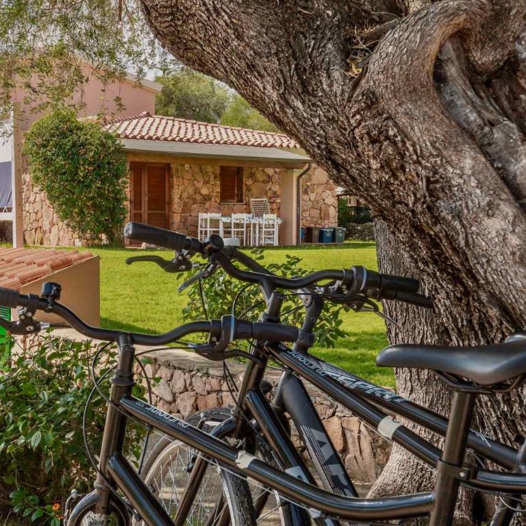 Apartments in San Teodoro 43450 - Appartamento - 18