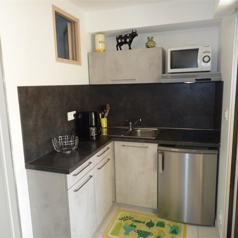 Studio confortable avec terrasse, accès direct plage et parking privé - FR-1-326-506 - Monolocale - 4