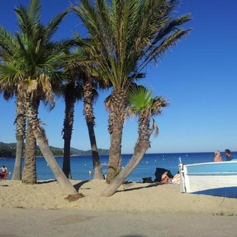 Studio avec Terrasse, Parking, à 500m de la Plage - Le Lavandou - FR-1-251-66 - Apartment (2 Erwachsene) - 9