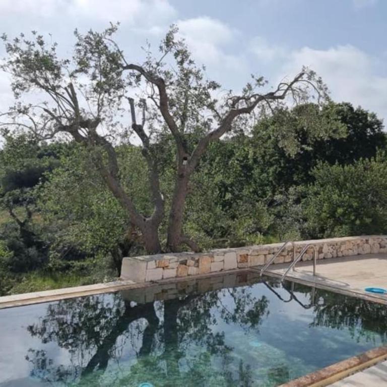 Trullo Piccola Lucertola in Valle d’Itria… - Casa con 2 Camere da Letto - 1