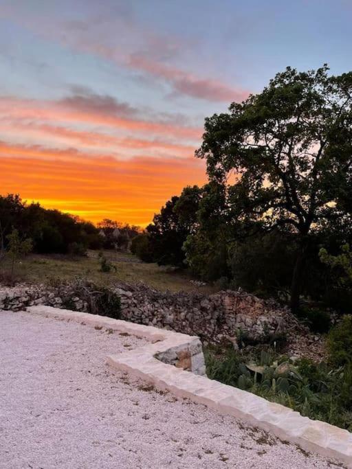Trullo Piccola Lucertola in Valle d’Itria… - Casa con 2 Camere da Letto - 26