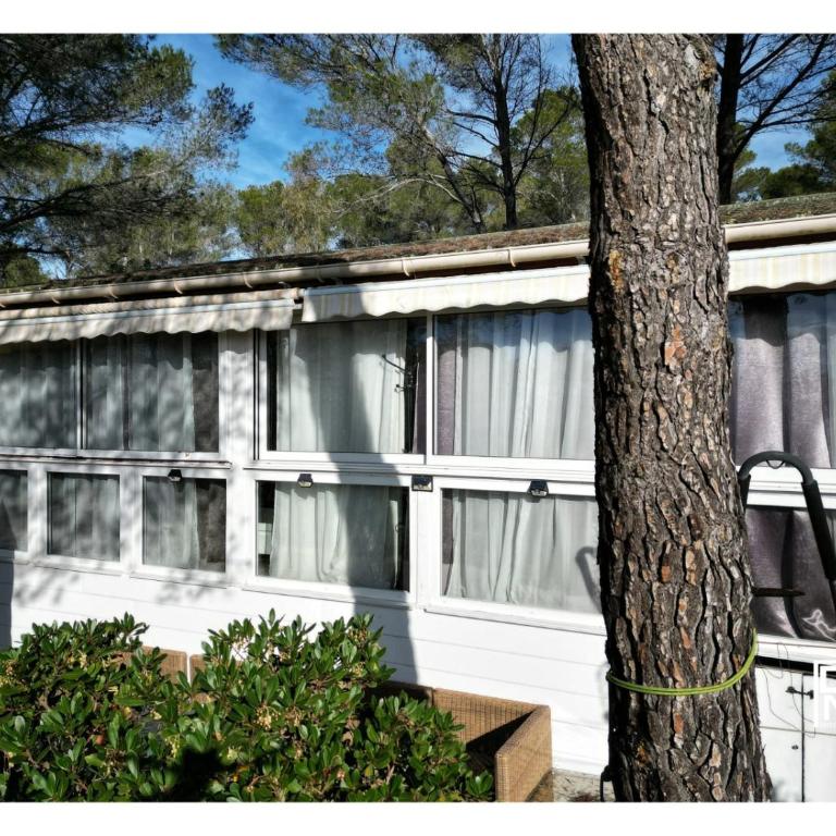 escabour 40 - superbe mobil home, climatisé, ss vis a vis, au calme, dans super domaine - Two-Bedroom Chalet - 2
