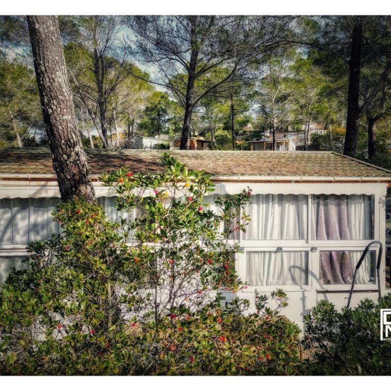 escabour 40 - superbe mobil home, climatisé, ss vis a vis, au calme, dans super domaine - Two-Bedroom Chalet - 4