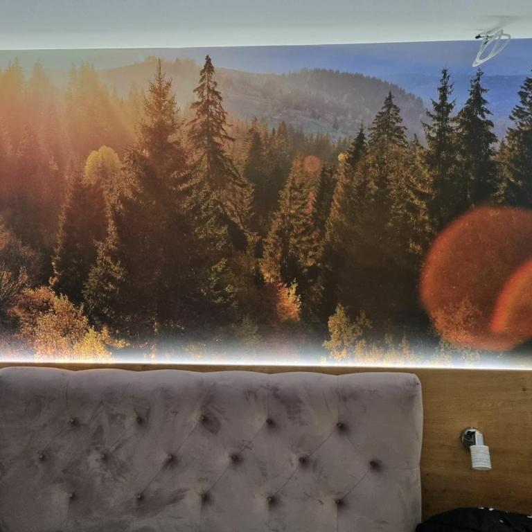 Vila Jahor Apartman Miro - Apartman sa 1 Spavaćom Sobom - 10