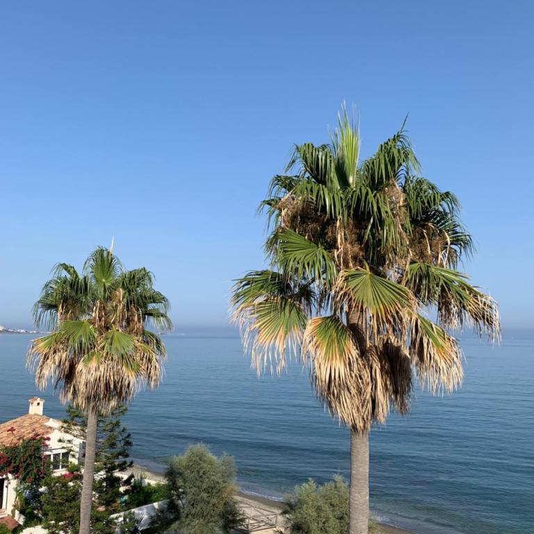 Penthouse on the beachfront - Apartamento con vistas al mar - 16