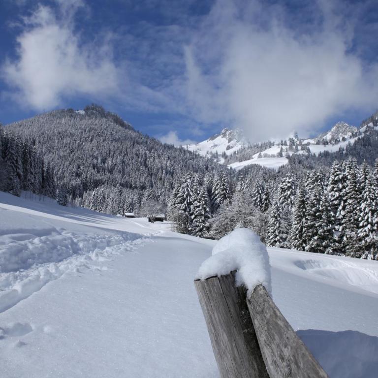 Appartement voor rustzoeker in wandel- en ski gebied Wallis - Apartment mit Blick auf die Berge - 28